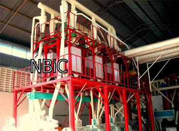 Maize 50T - Tanzania