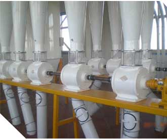 Maize flour milling plant-001